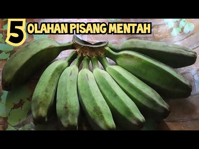 Detail Gambar Pisang Kepok Mentah Nomer 12