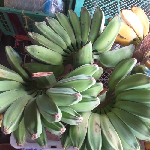 Detail Gambar Pisang Kepok Mentah Nomer 8