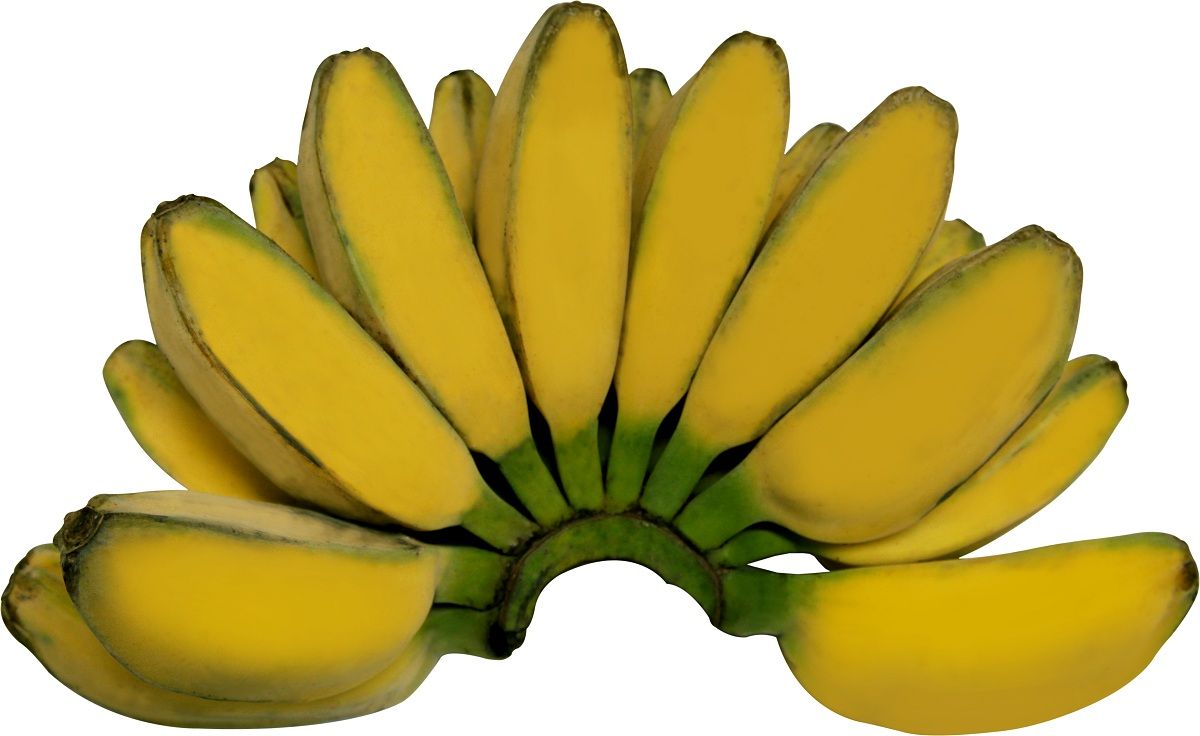 Gambar Pisang Kepok Png - KibrisPDR