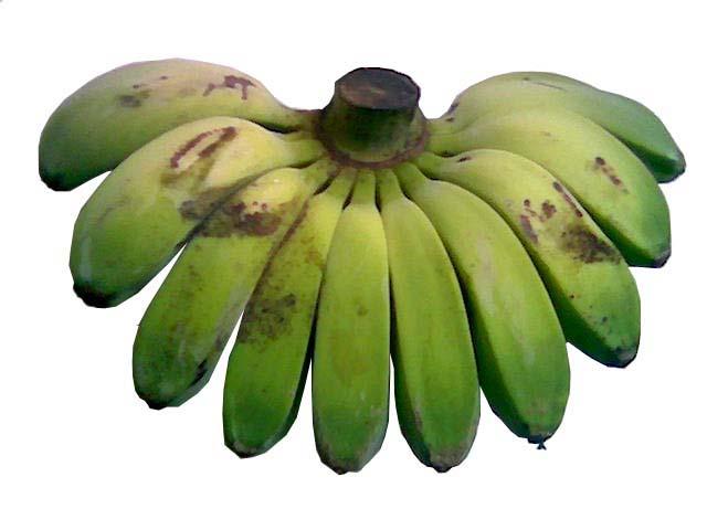 Detail Gambar Pisang Kepok Png Nomer 10