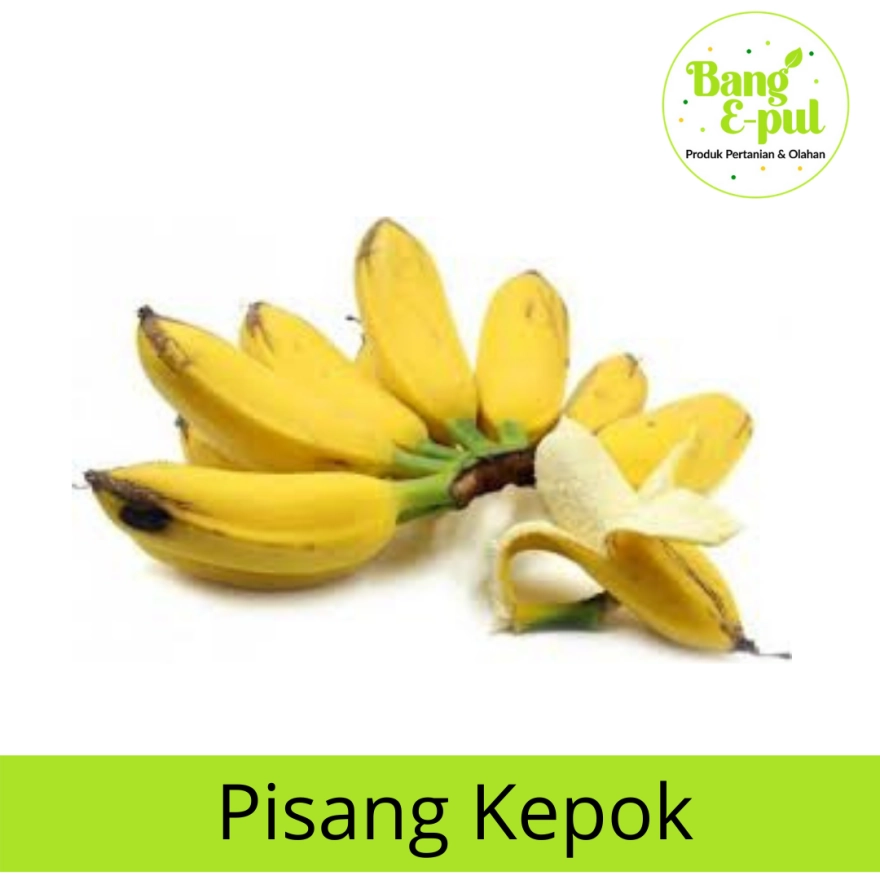 Detail Gambar Pisang Kepok Png Nomer 24