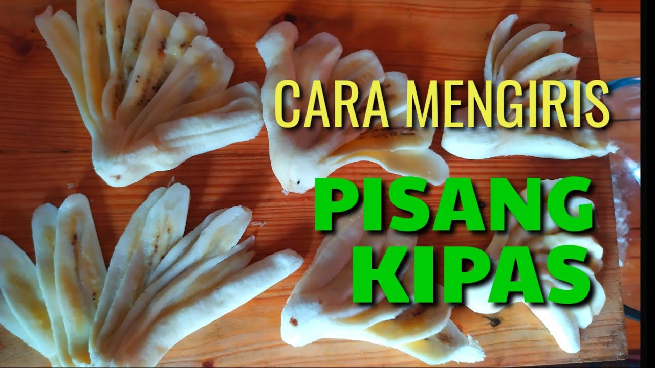 Detail Gambar Pisang Kipas Nomer 51