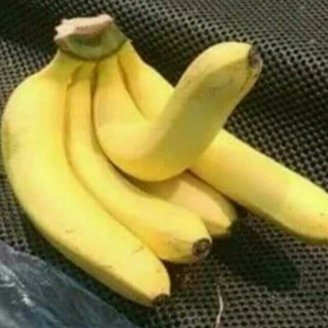 Gambar Pisang Lucu - KibrisPDR