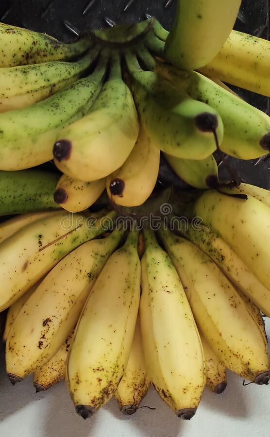 Detail Gambar Pisang Raja Nomer 18