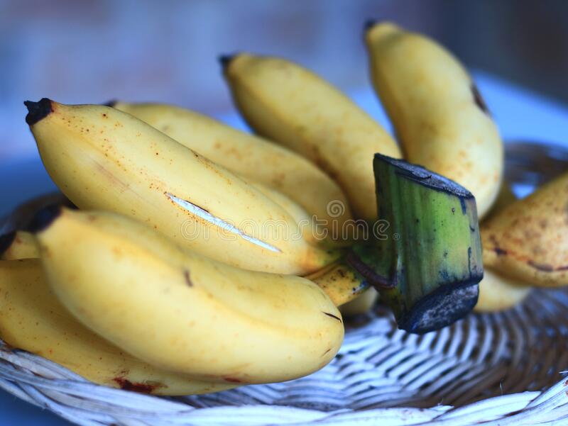 Detail Gambar Pisang Raja Nomer 19