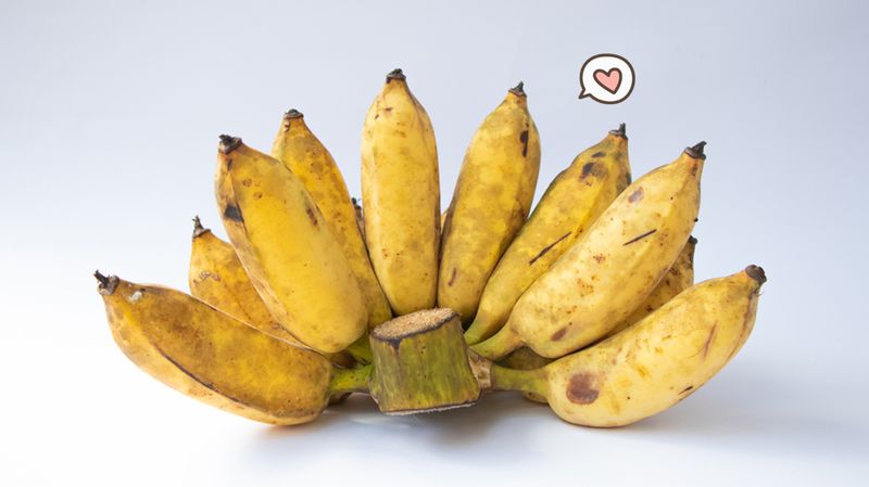 Detail Gambar Pisang Raja Nomer 30