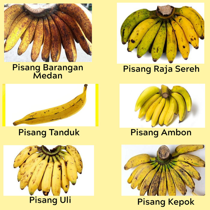 Detail Gambar Pisang Raja Nomer 9