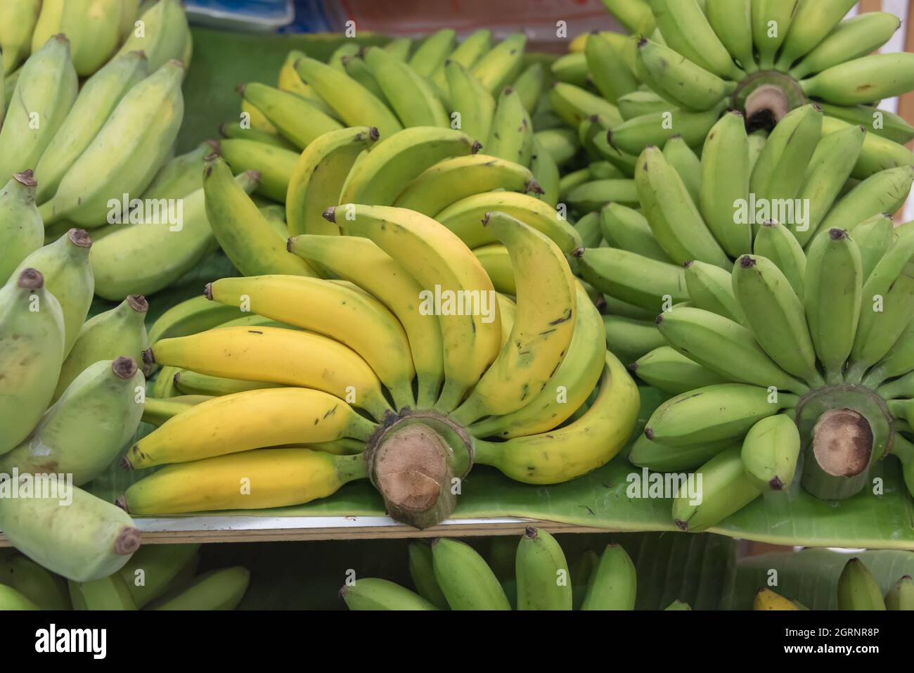 Detail Gambar Pisang Sale Nomer 54