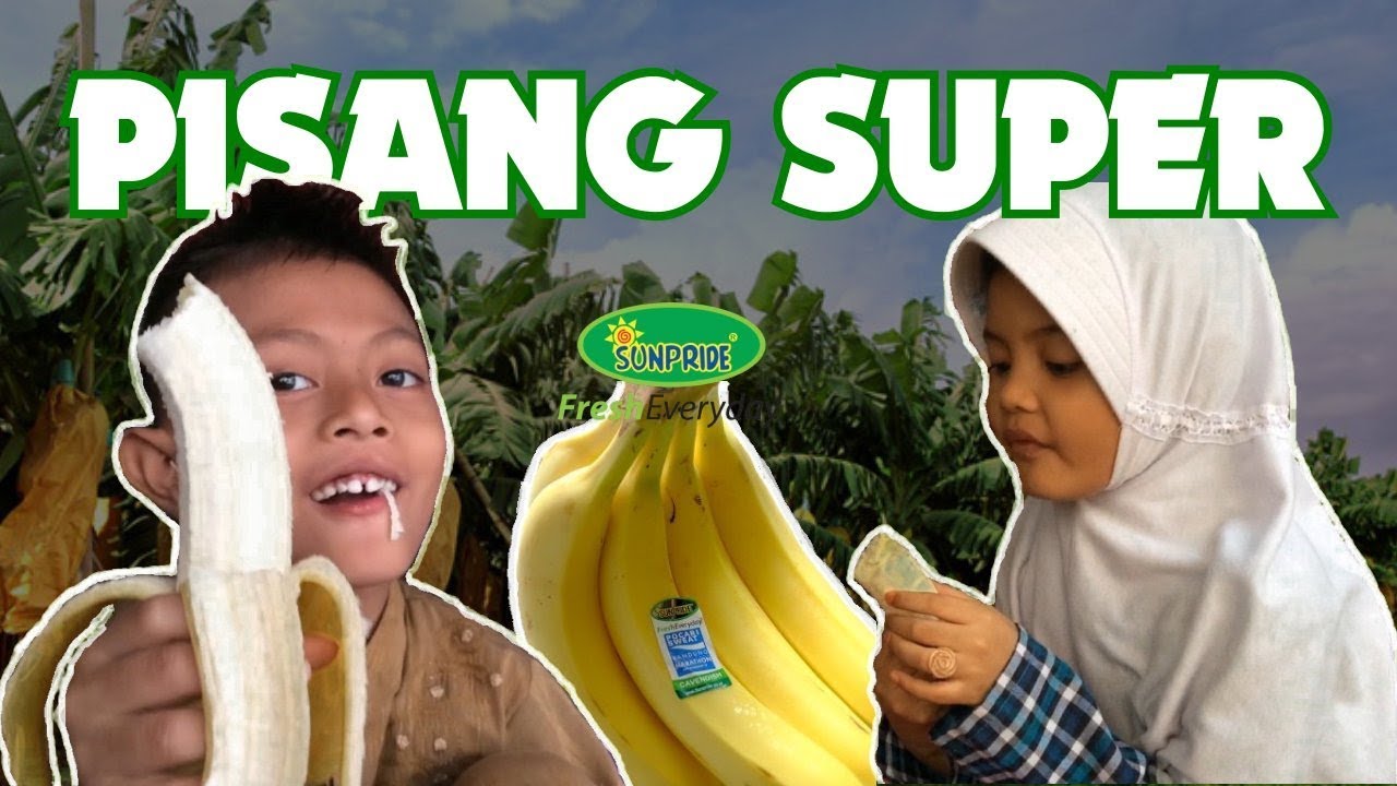 Detail Gambar Pisang Sunpride Nomer 35