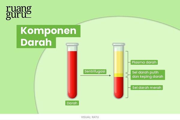 Detail Gambar Plasma Darah Nomer 54