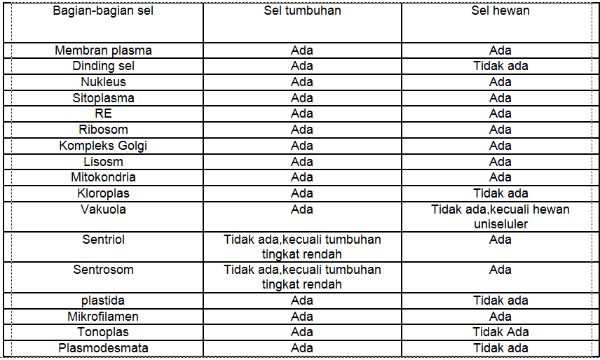 Detail Gambar Plasmodesmata Sel Tumbuhan Nomer 56