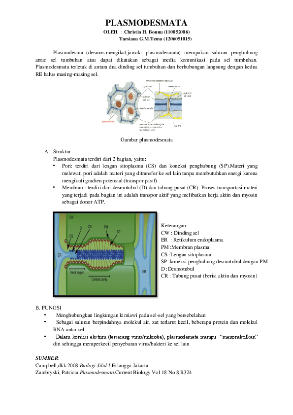 Detail Gambar Plasmodesmata Sel Tumbuhan Nomer 9