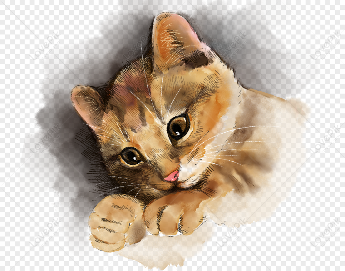 Detail Gambar Png Cat Nomer 45