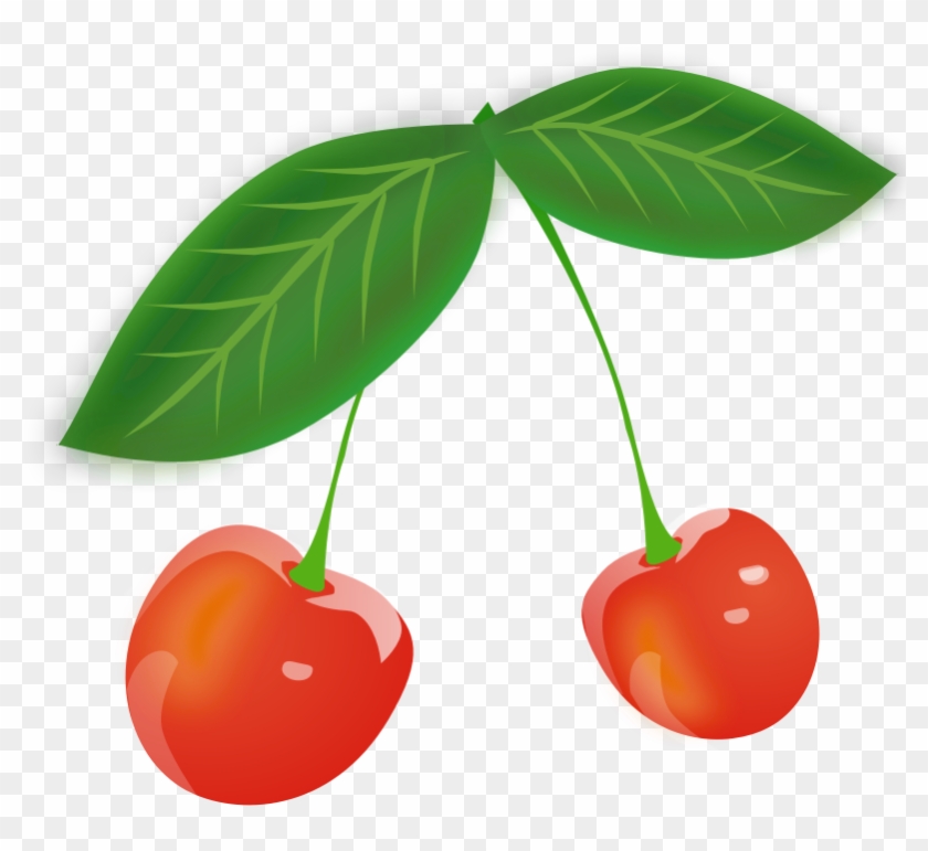 Detail Gambar Png Tentang Buah Nomer 45