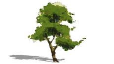 Detail Gambar Pohon 2d Nomer 39