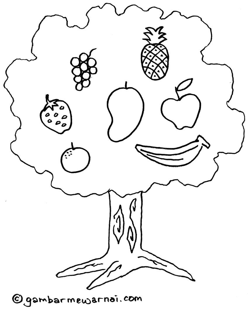 Detail Gambar Pohon Anak Tk Nomer 4