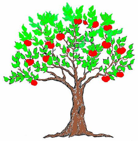 Detail Gambar Pohon Apel Nomer 7