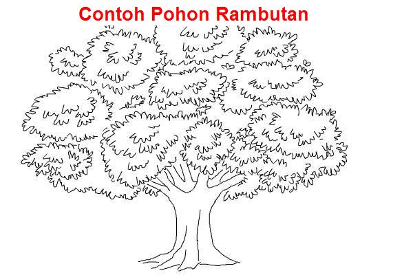 Detail Gambar Pohon Bagus Nomer 13