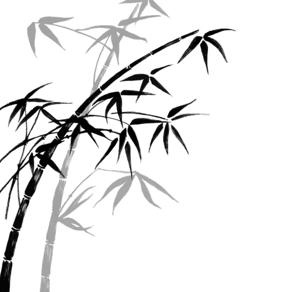 Detail Gambar Pohon Bambu Hitam Putih Nomer 15