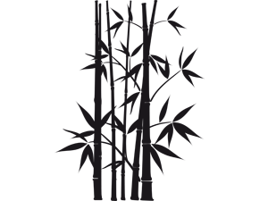 Detail Gambar Pohon Bambu Hitam Putih Nomer 5