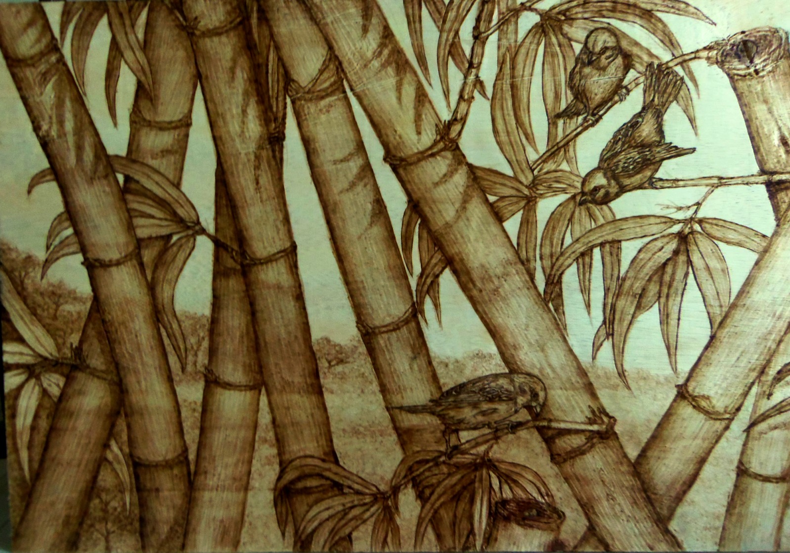 Detail Gambar Pohon Bambu Hitam Putih Nomer 54