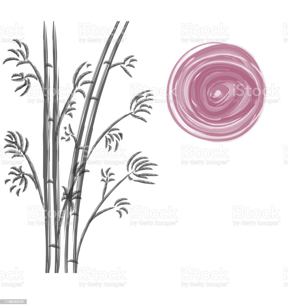 Detail Gambar Pohon Bambu Hitam Putih Nomer 55