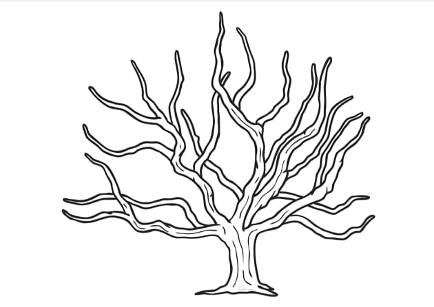 Detail Gambar Pohon Beringin Mewarnai Nomer 36