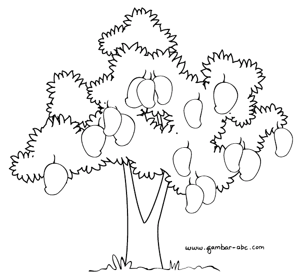 Detail Gambar Pohon Berkambium Nomer 19