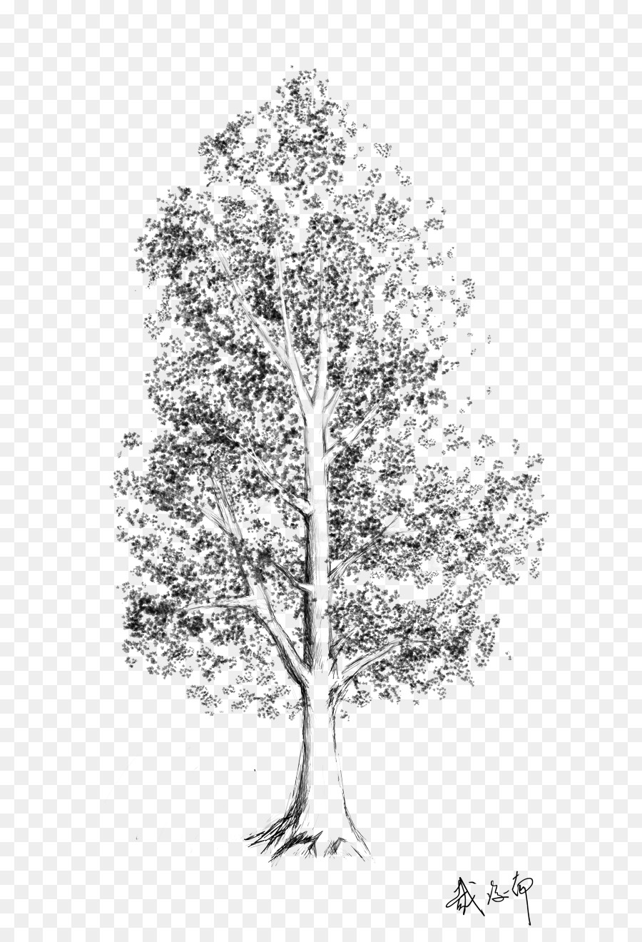 Detail Gambar Pohon Berkayu Nomer 20