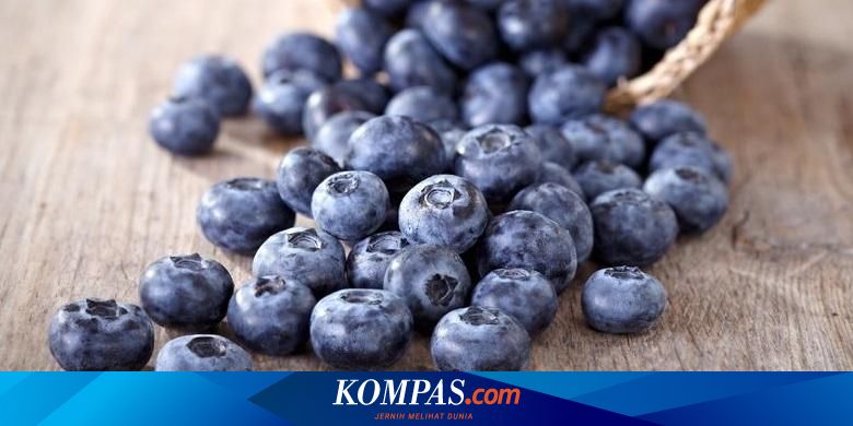 Detail Gambar Pohon Blueberry Nomer 34