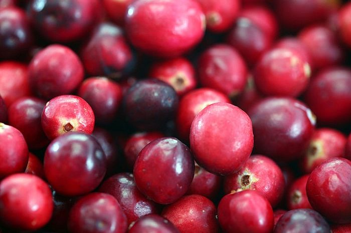 Detail Gambar Pohon Buah Cranberry Nomer 31