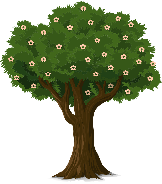 Gambar Pohon Bunga - KibrisPDR