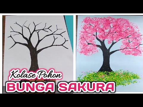 Detail Gambar Pohon Bunga Sakura Nomer 29