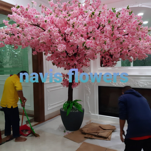 Gambar Pohon Bunga Sakura Dari Plastik - KibrisPDR