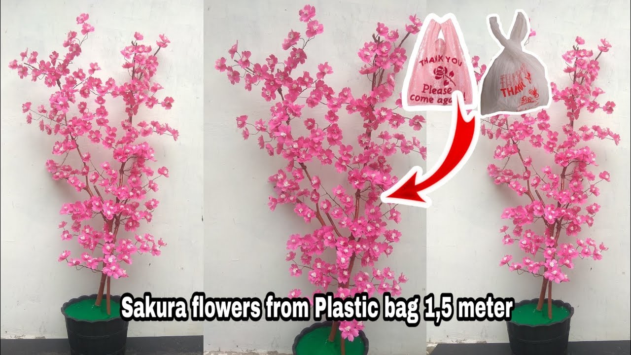 Download Gambar Pohon Bunga Sakura Dari Plastik Nomer 4