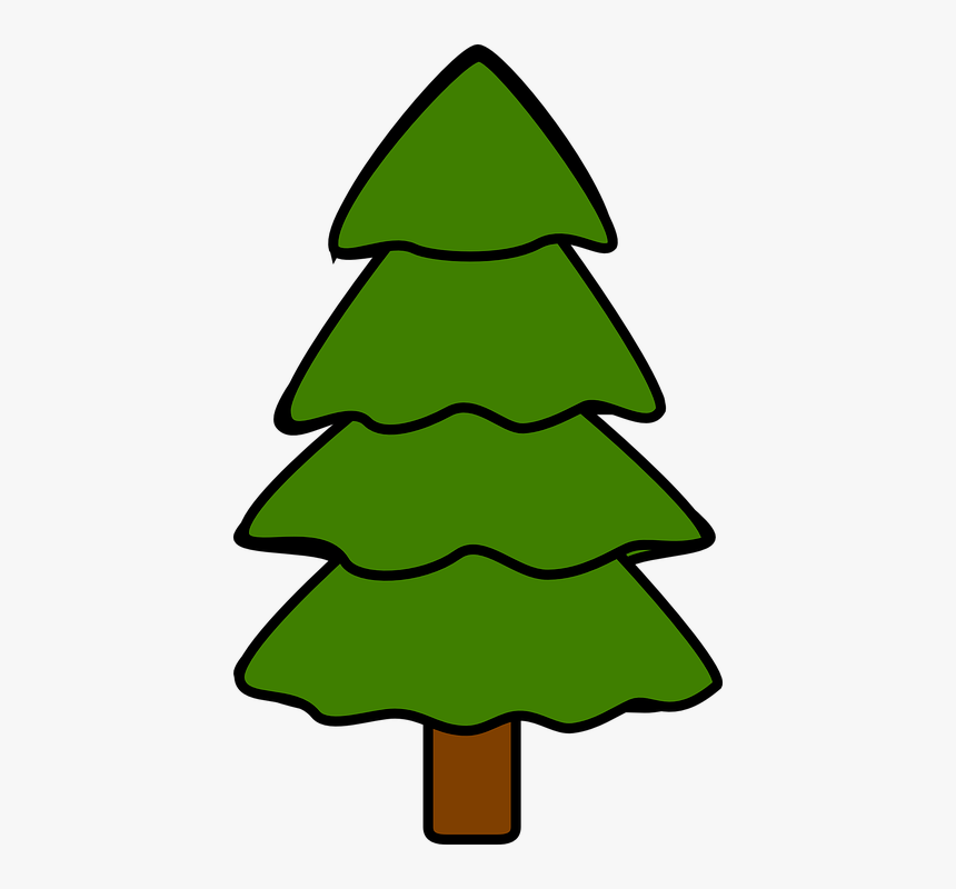 Download Gambar Pohon Cemara Nomer 7