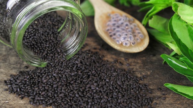 Detail Gambar Pohon Chia Seed Nomer 25