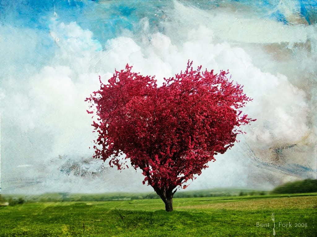 Detail Gambar Pohon Cinta Nomer 12