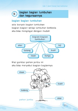 Detail Gambar Pohon Dan Bagian Bagiannya Nomer 15