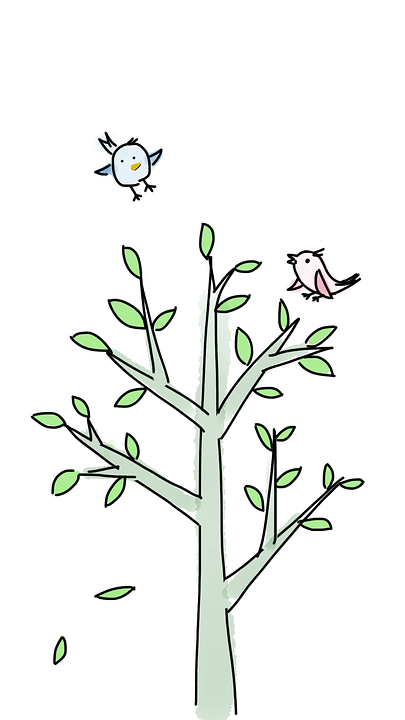 Detail Gambar Pohon Dan Burung Nomer 4
