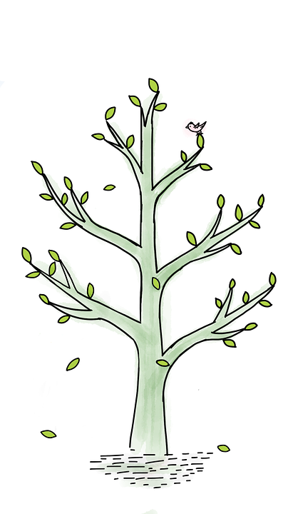 Detail Gambar Pohon Dan Burung Nomer 29