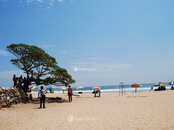 Detail Gambar Pohon Dari Pasir Putih Nomer 38