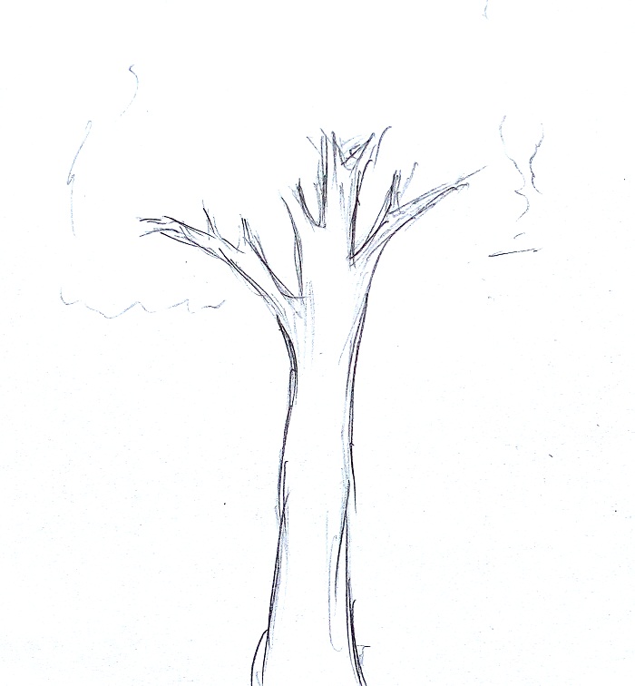Detail Gambar Pohon Dari Pensil Nomer 31