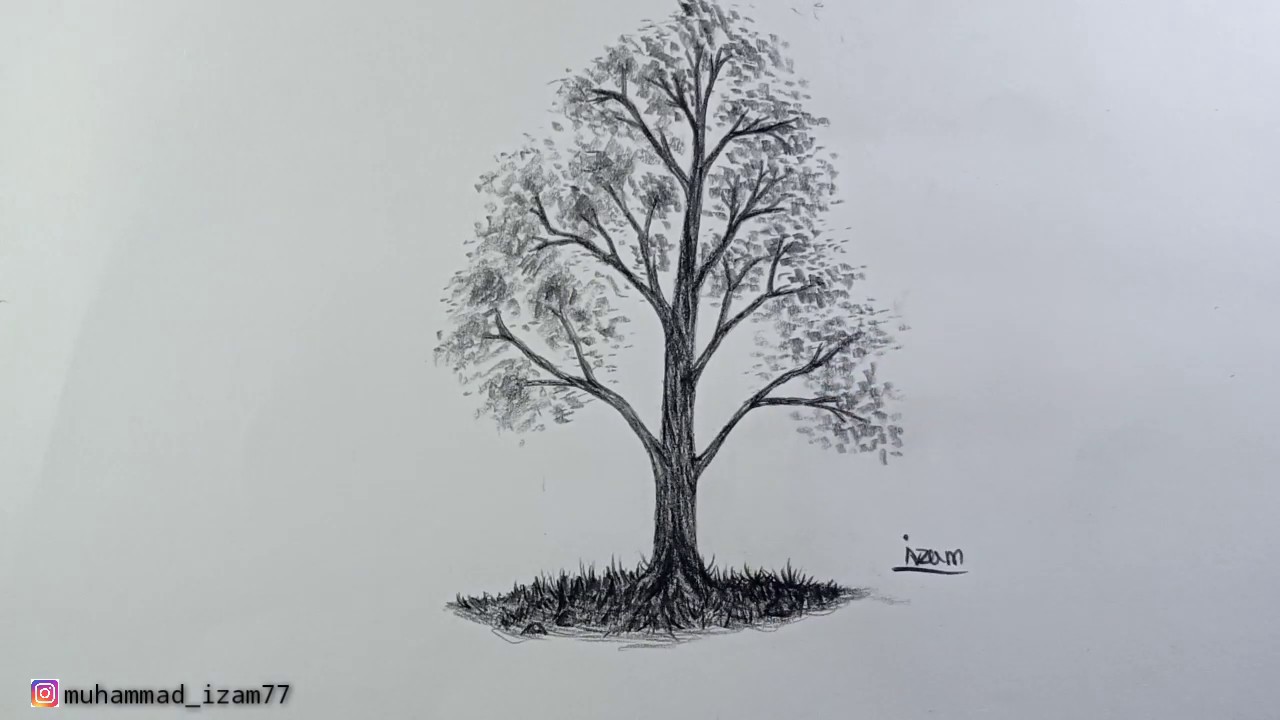 Detail Gambar Pohon Dengan Pensil Nomer 18