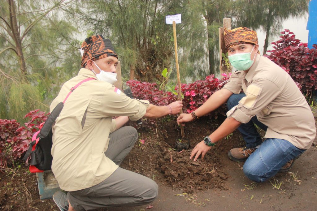 Detail Gambar Pohon Endemik Tengger Nomer 24