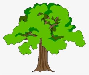 Detail Gambar Pohon Format Png Nomer 20