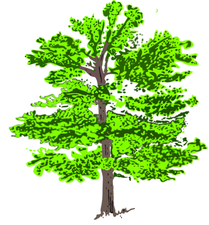 Detail Gambar Pohon Hijau Nomer 6