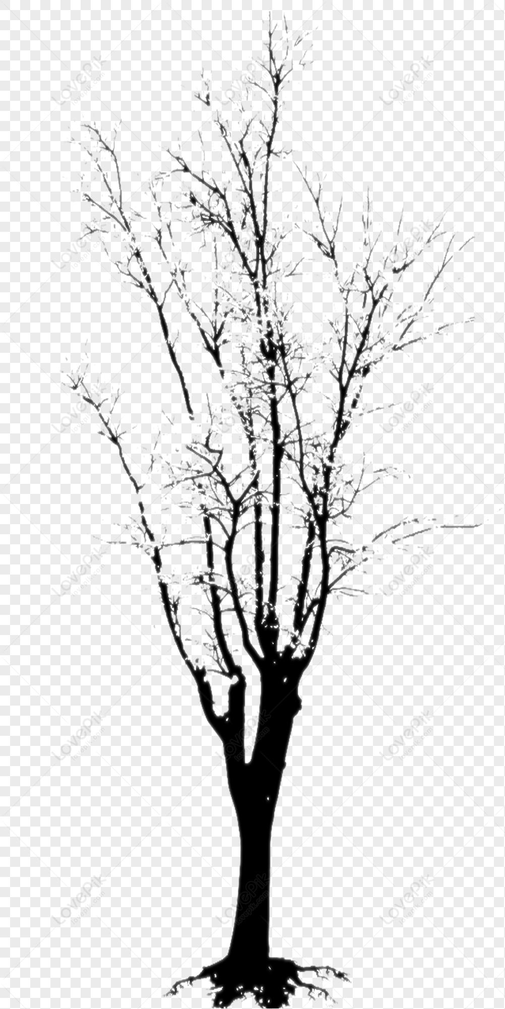 Detail Gambar Pohon Hitam Nomer 13