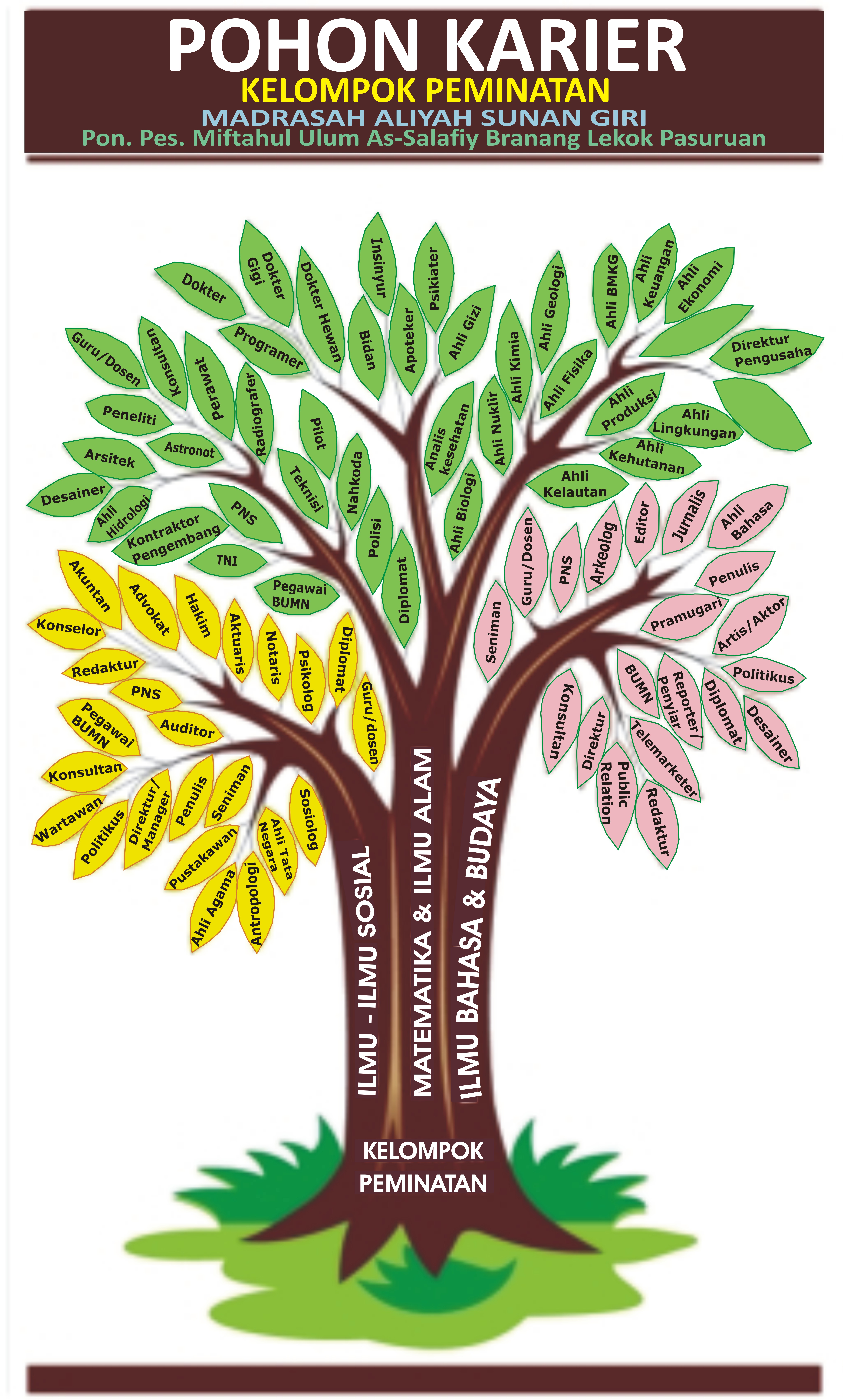 Detail Gambar Pohon Jabatan Nomer 28