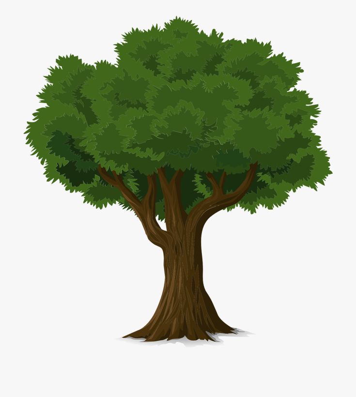 Detail Gambar Pohon Kartun Lucu Nomer 36